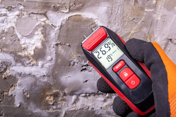 Professional Mold Removal in Norman, OK