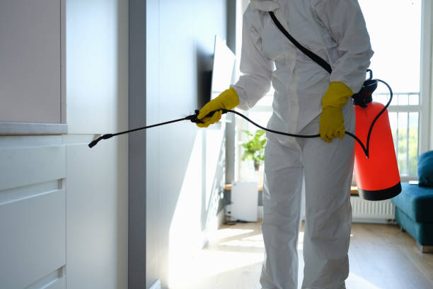 Best Office Mold Removal Services  in Norman, OK
