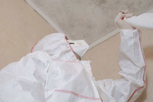Mold Removal and Inspection in Norman, OK