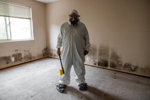 Best Home Mold Removal  in Norman, OK